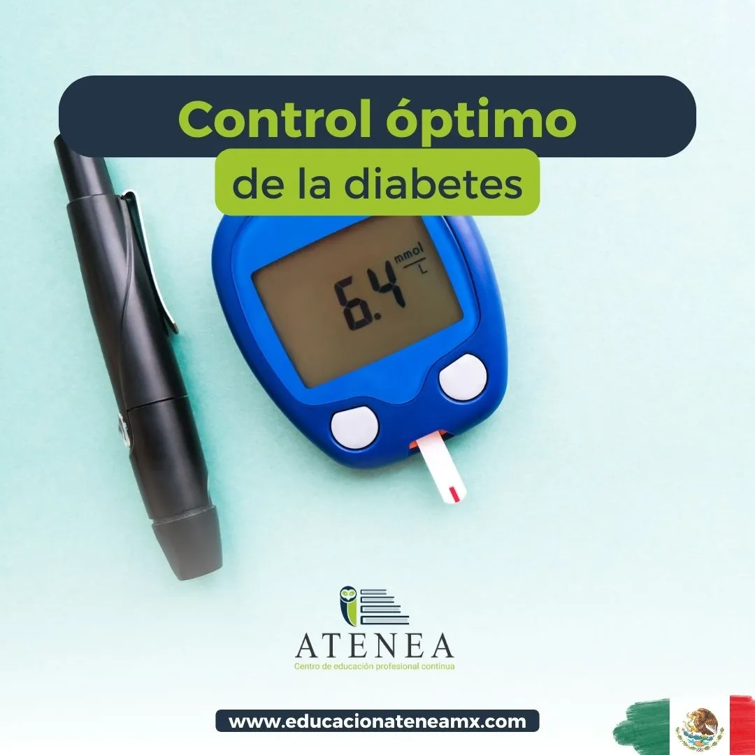 Control Óptimo del Paciente Diabético